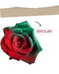 Bipolar